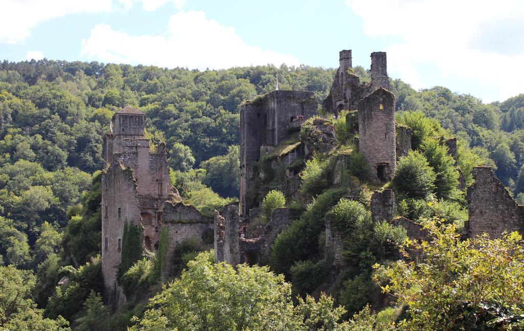 Gite De La Genevriere Saint-Chamant Kültér fotó